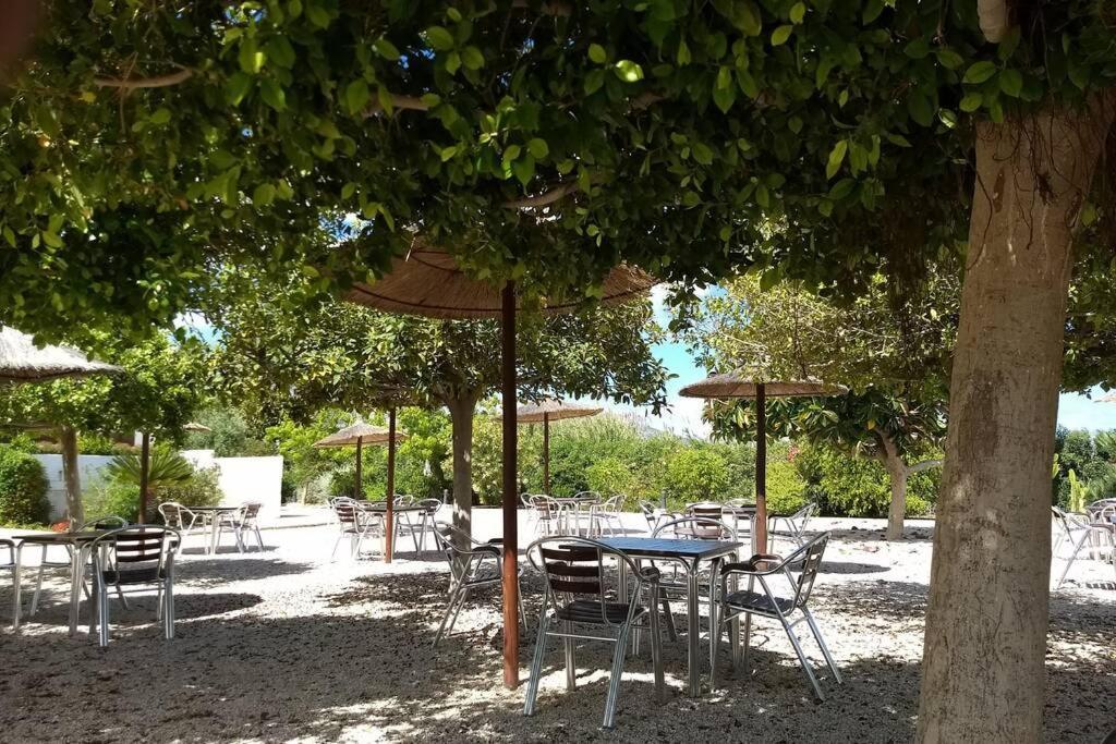 Beachfront Apt! Ac - Pool - Parking Apartment Altea Exterior foto