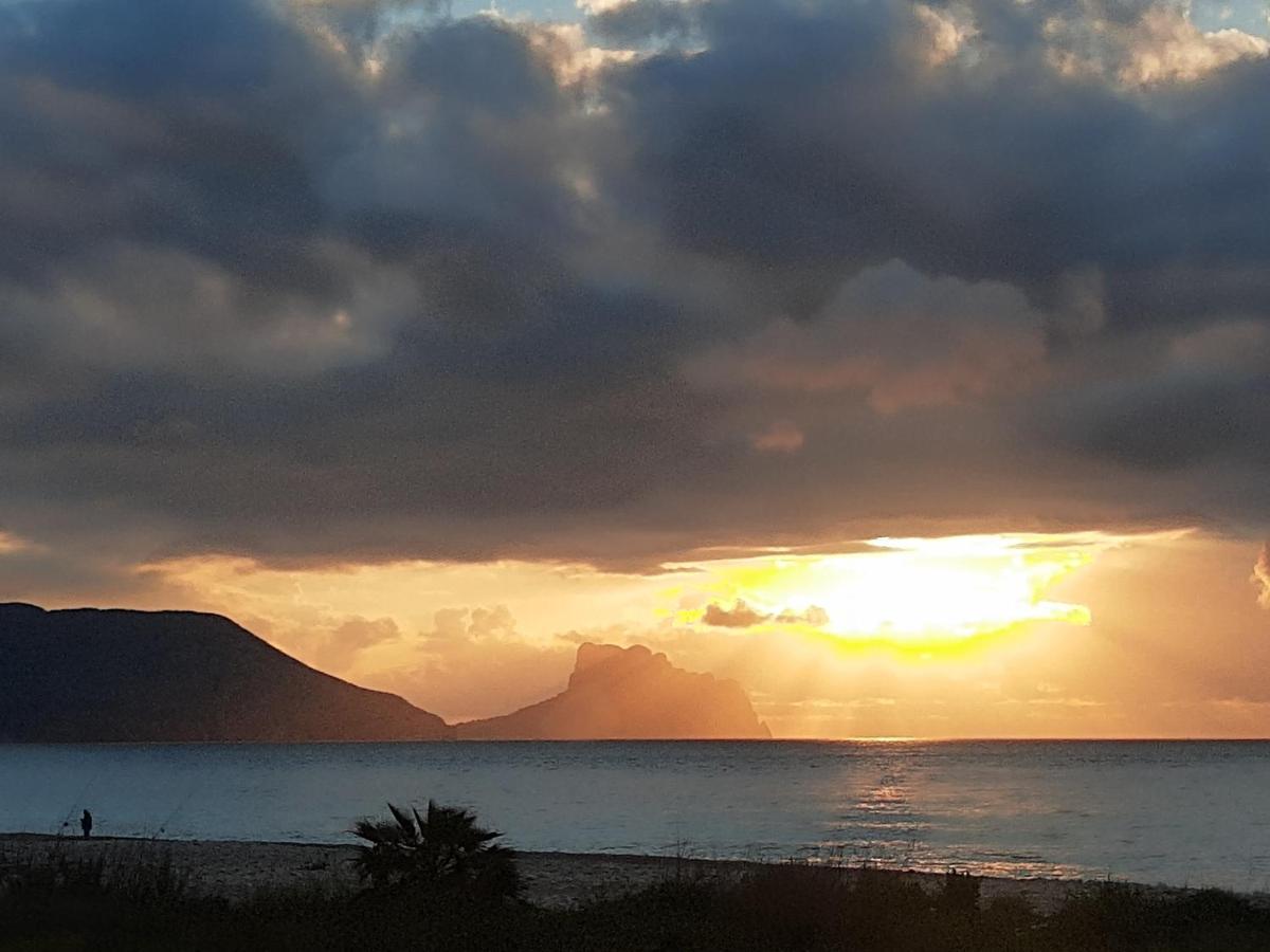 Beachfront Apt! Ac - Pool - Parking Apartment Altea Exterior foto